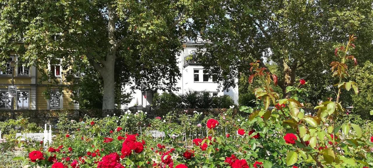 Faehrhaus Meissen B&B Luaran gambar
